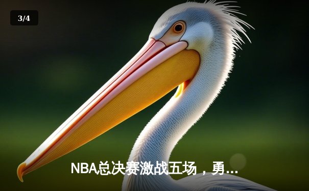 NBA总决赛激战五场，勇士逆转绿军夺得总冠军 - 3